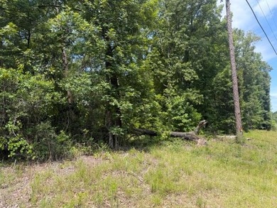 Discover the potential of this beautiful 1+/- acre of - photo 11