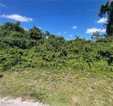 Lehigh Acres Area Lot For Sale in Lehigh Acres Florida