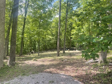 Excellent Lake Front Walk to the Water Lake Cumberland Lot - photo 3