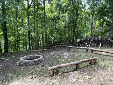 Excellent Lake Front Walk to the Water Lake Cumberland Lot - photo 4