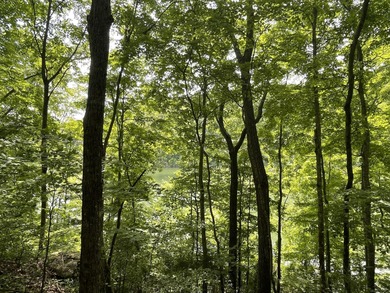 Excellent Lake Front Walk to the Water Lake Cumberland Lot - photo 5