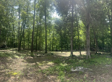 Excellent Lake Front Walk to the Water Lake Cumberland Lot - photo 6