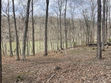 Excellent Lake Front Walk to the Water Lake Cumberland Lot - photo 7