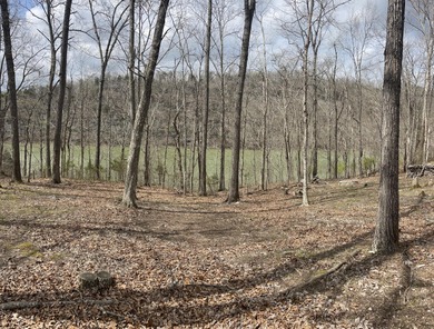 Excellent Lake Front Walk to the Water Lake Cumberland Lot - photo 9