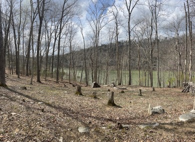Excellent Lake Front Walk to the Water Lake Cumberland Lot - photo 10