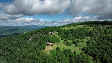 Log Home and Acreage Plus Recreational River Tract w/ 100 Feet - photo 6