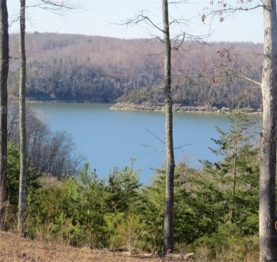 Lake Cumberland Lot Sale Pending in Monticello Kentucky