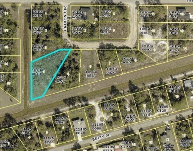 Lehigh Acres Area Commercial For Sale in Lehigh Acres Florida