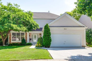 Lake Home For Sale in Grayslake, Illinois