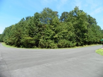 Spectacular corner  (fronts 2 roads)  Heron Bay Dr. and Pearl Bay - Lake Lot For Sale in New London, North Carolina