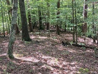 Lake Acreage For Sale in Newport, Tennessee