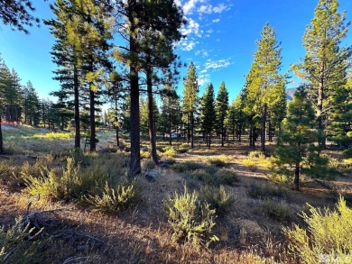 Lake Tahoe - Douglas County Lot For Sale in Carson City Nevada