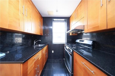 Rare Penthouse Duplex in Bensonhurst | Private Rooftop Terrace + - photo 11