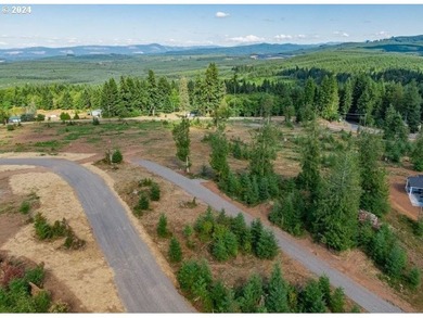 Introducing Delta Vista Community! An upscale community with - photo 11