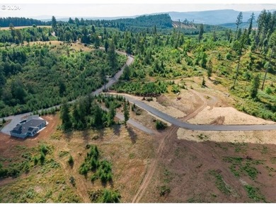 Introducing Delta Vista Community! An upscale community with - photo 12