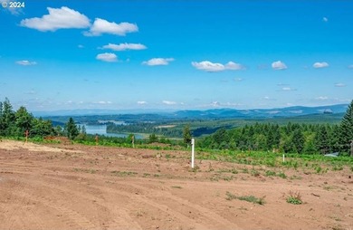Introducing Delta Vista Community! An upscale community with - photo 13