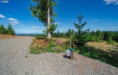 Introducing Delta Vista Community! An upscale community with - photo 14