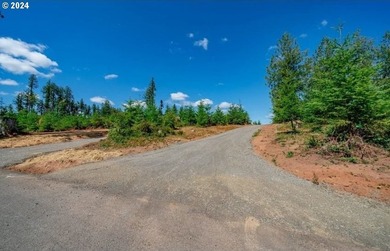 Introducing Delta Vista Community! An upscale community with - photo 16