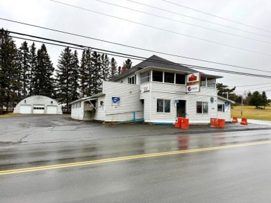 Long Lake - Aroostook County Commercial For Sale in Saint Agatha Maine