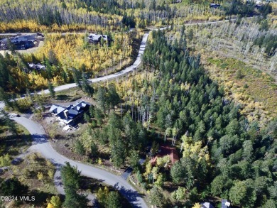 This Cordillera homesite offers a great opportunity to build - photo 4
