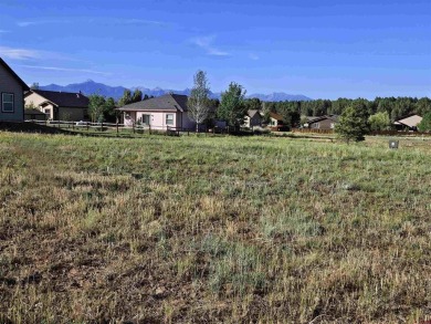 Lake Forest Lot For Sale in Pagosa Springs Colorado