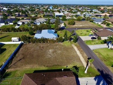Beautiful Southern Exposure Homesite in Desirable SW Cape Coral - photo 5