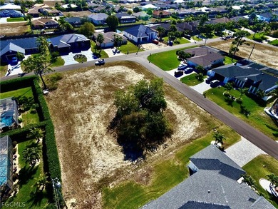 Beautiful Homesite in Desirable SW Cape Coral Don't miss this - photo 8