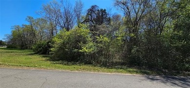 ANSWER THE CALL FOR LAKE LIVING!! Convenient location close to - photo 8