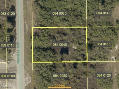 Lehigh Acres Area Lot For Sale in Lehigh Acres Florida