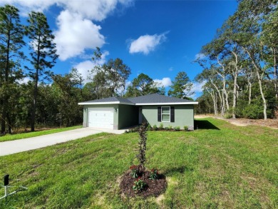 Bonable Lake Home Sale Pending in Dunnellon Florida