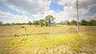 Lehigh Acres Area Lot For Sale in Lehigh Acres Florida