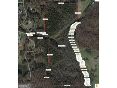 Michael Lake Acreage For Sale in Canton Georgia