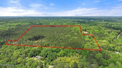 Lake Acreage Sale Pending in Brandon, Mississippi