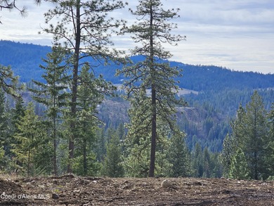 Lake Acreage For Sale in Harrison, Idaho