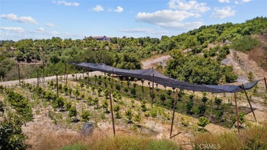 4305 Groves Place - photo 18
