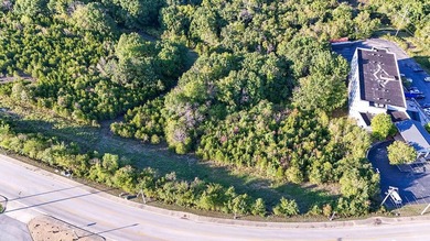 29 Acres of Prime Potential - BransonHigh-Traffic Development - photo 22