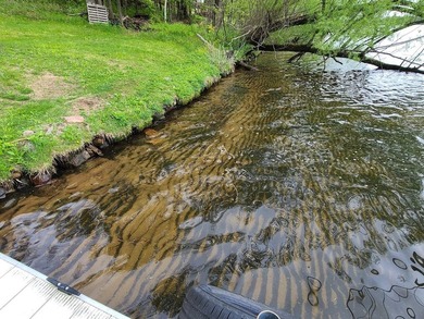 SO much to enjoy here! Level, sandy lakeshore, south facing - photo 29