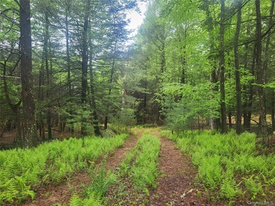Discover the perfect blend of natural beauty, privacy, and - photo 2
