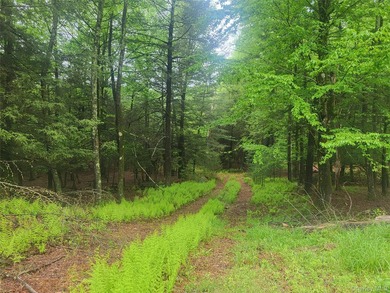 Discover the perfect blend of natural beauty, privacy, and - photo 3