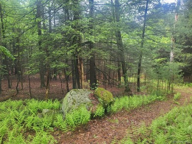 Discover the perfect blend of natural beauty, privacy, and - photo 4