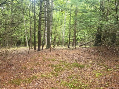 Discover the perfect blend of natural beauty, privacy, and - photo 5