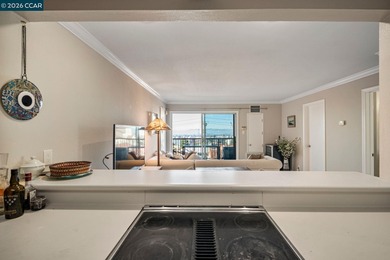 Penthouse Living with Unrivaled Panoramic Bay Views! The