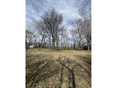 River lot ready to build your forever home or weekend get-away - photo 7