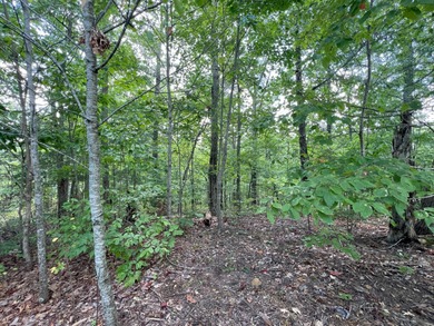 Cherokee Lake Lot For Sale in Bean Station Tennessee