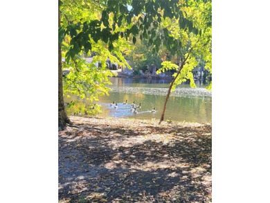 Lake Home For Sale in Suffolk, Virginia