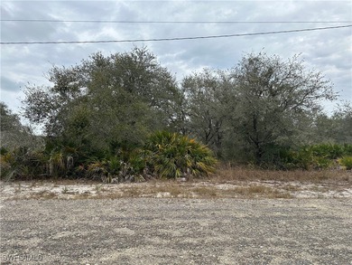 Lehigh Acres Area Lot For Sale in Lehigh Acres Florida