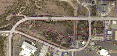 Investment Opportunity Branson 29+/- Acres | 8 Parcels | Prime - photo 15