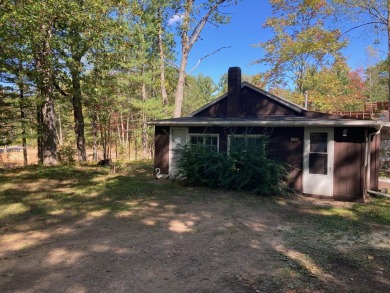 Lake Home For Sale in Rhinelander, Wisconsin