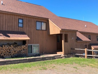 Lake Condo For Sale in Upson, Wisconsin