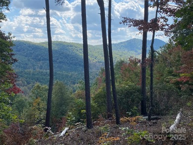 (private lake, pond, creek) Acreage For Sale in Nebo North Carolina